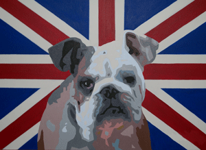 Brit-Bull-dog